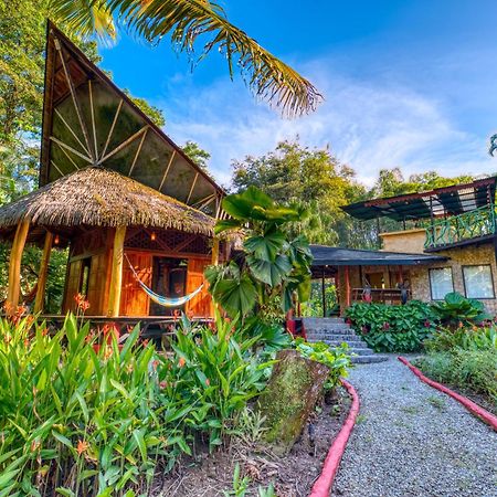 Tree House Beachfront Lodge Puerto Viejo de Talamanca Bagian luar foto
