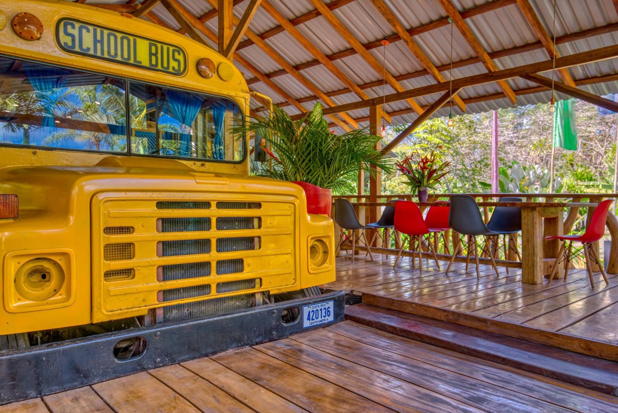 Tree House Beachfront Lodge Puerto Viejo de Talamanca Bagian luar foto