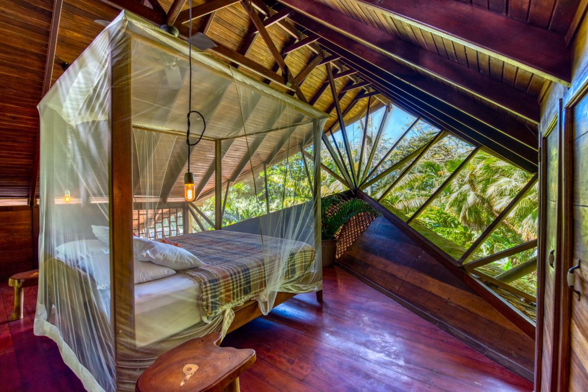 Tree House Beachfront Lodge Puerto Viejo de Talamanca Bagian luar foto