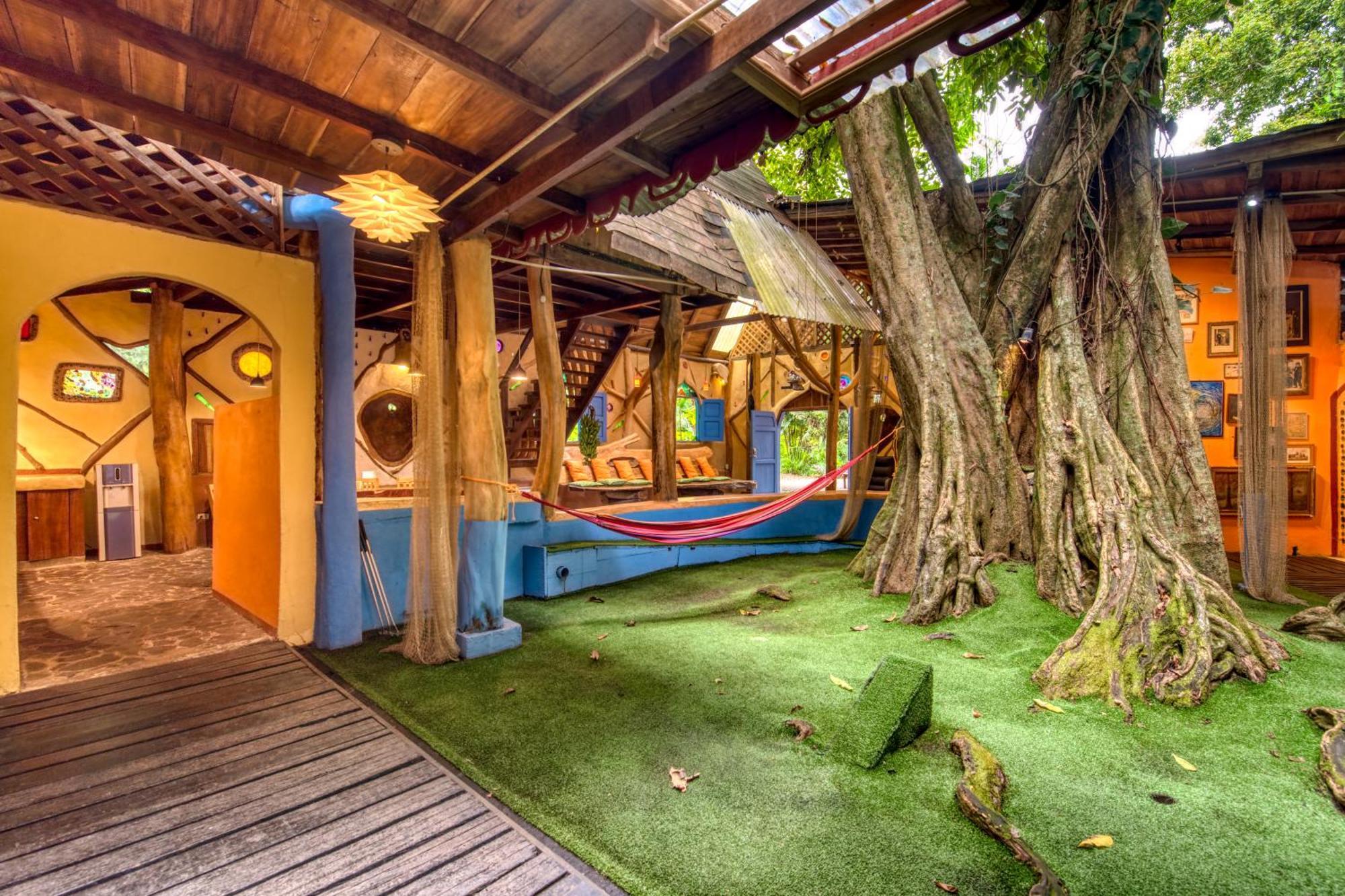 Tree House Beachfront Lodge Puerto Viejo de Talamanca Bagian luar foto