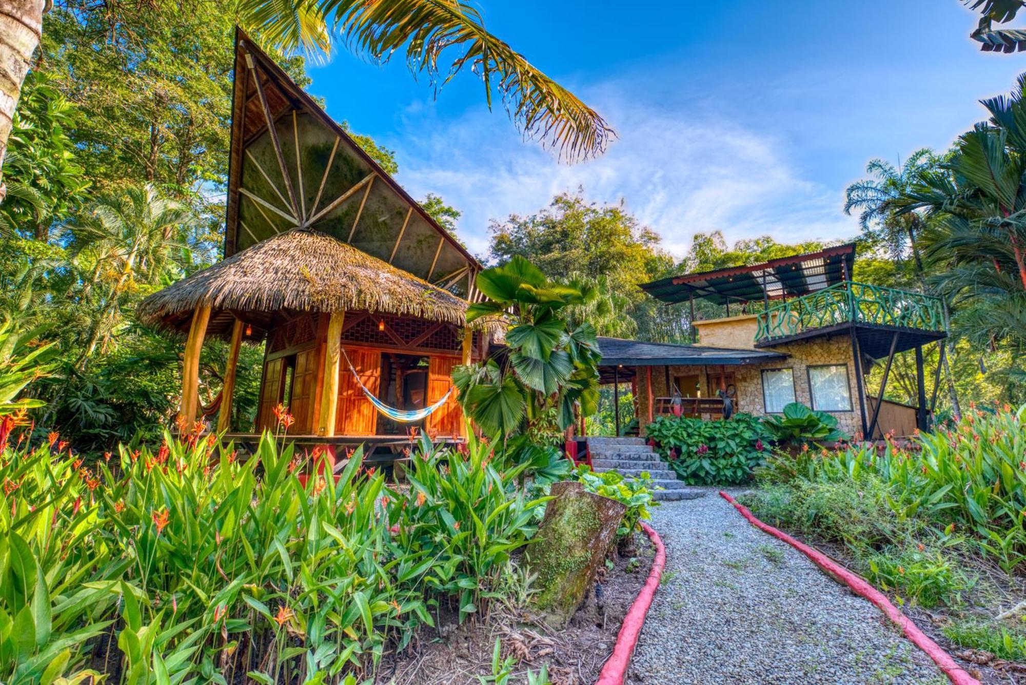 Tree House Beachfront Lodge Puerto Viejo de Talamanca Bagian luar foto