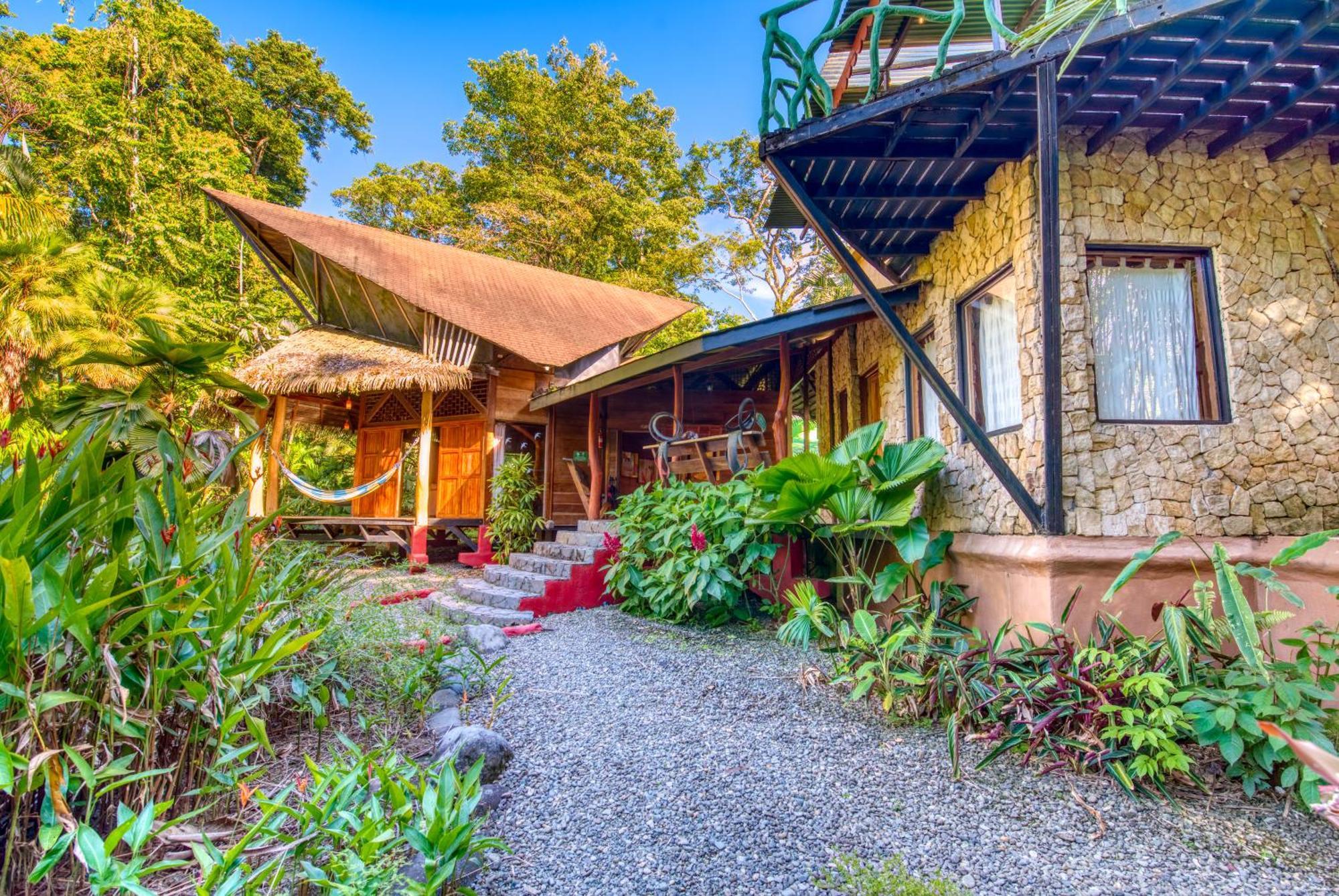 Tree House Beachfront Lodge Puerto Viejo de Talamanca Bagian luar foto