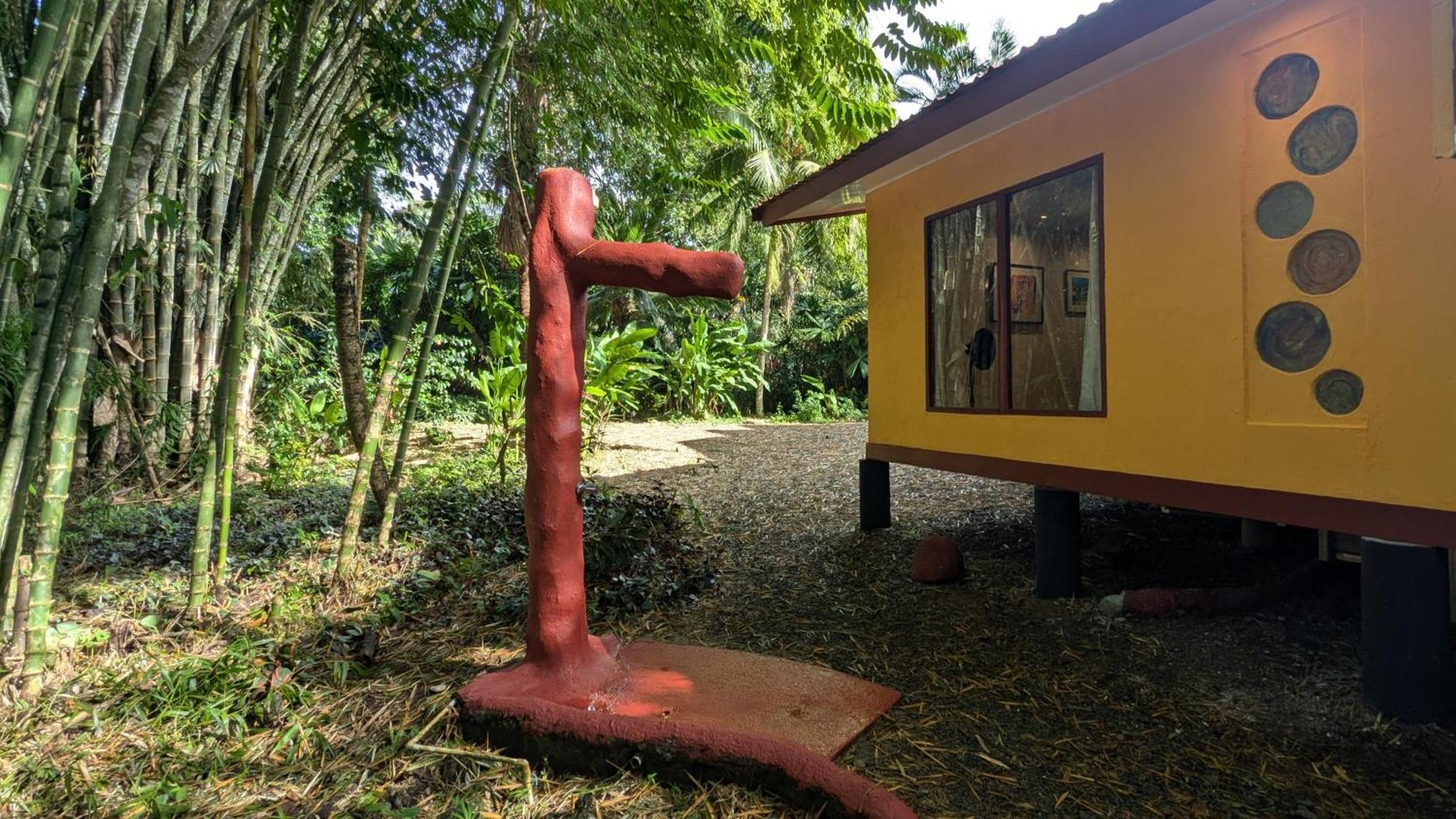 Tree House Beachfront Lodge Puerto Viejo de Talamanca Bagian luar foto