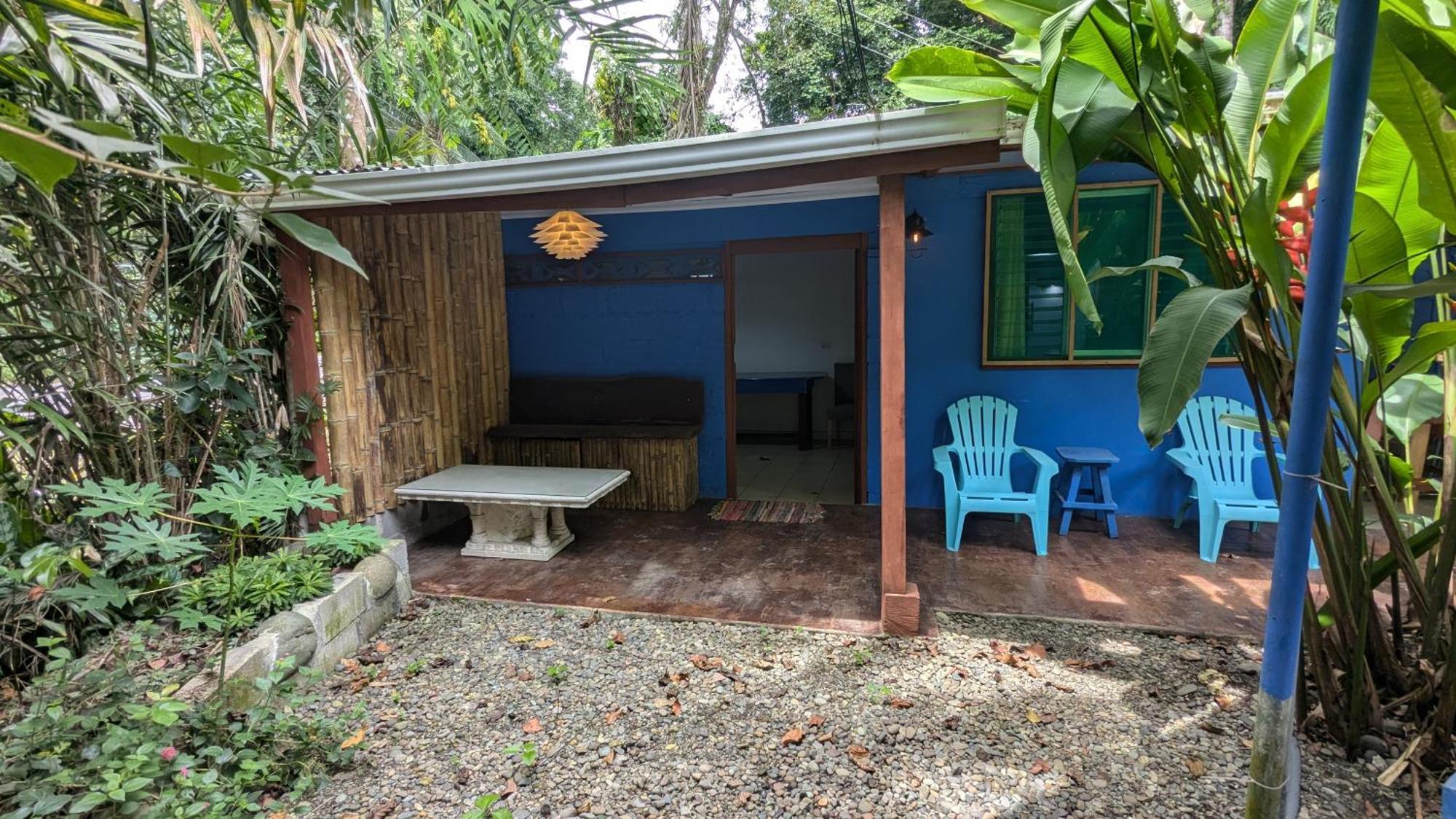 Tree House Beachfront Lodge Puerto Viejo de Talamanca Bagian luar foto