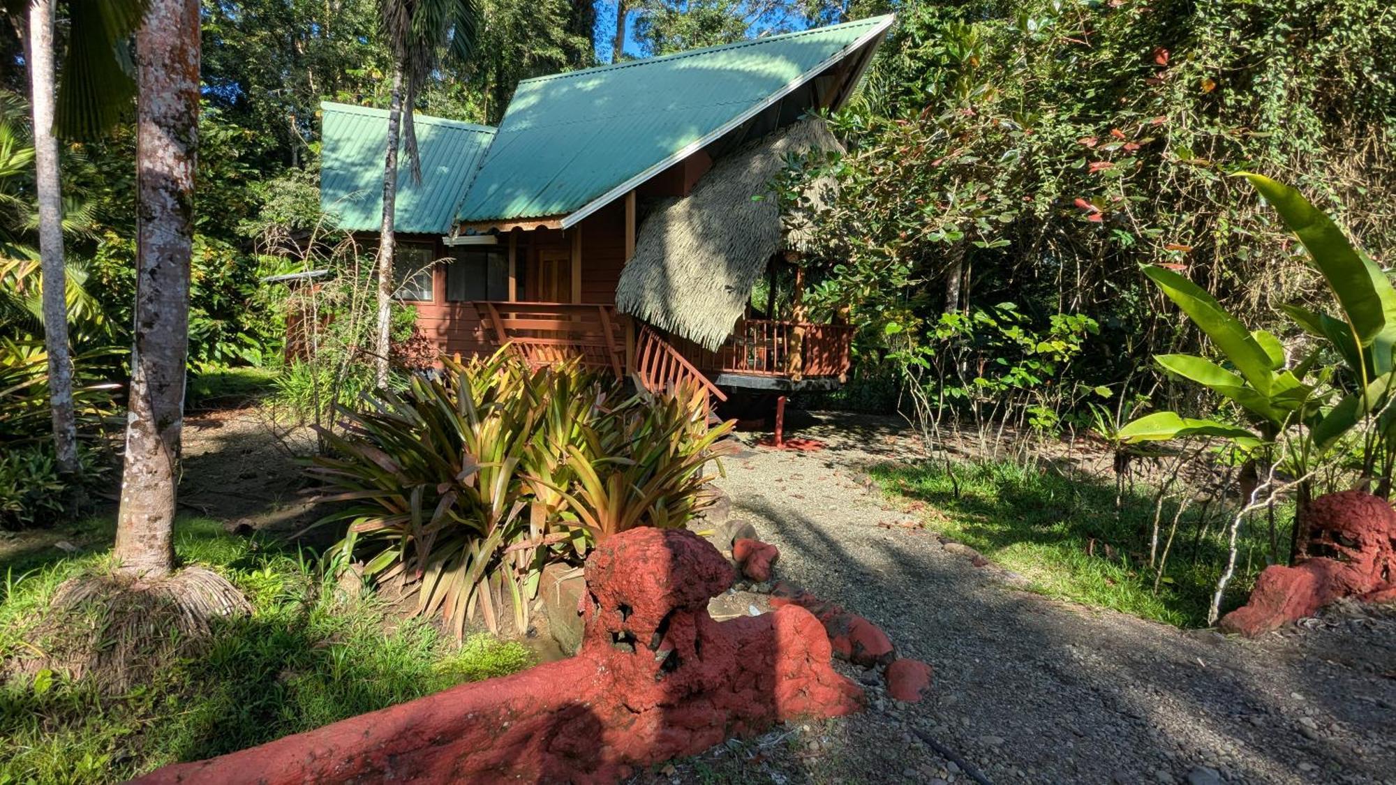 Tree House Beachfront Lodge Puerto Viejo de Talamanca Bagian luar foto