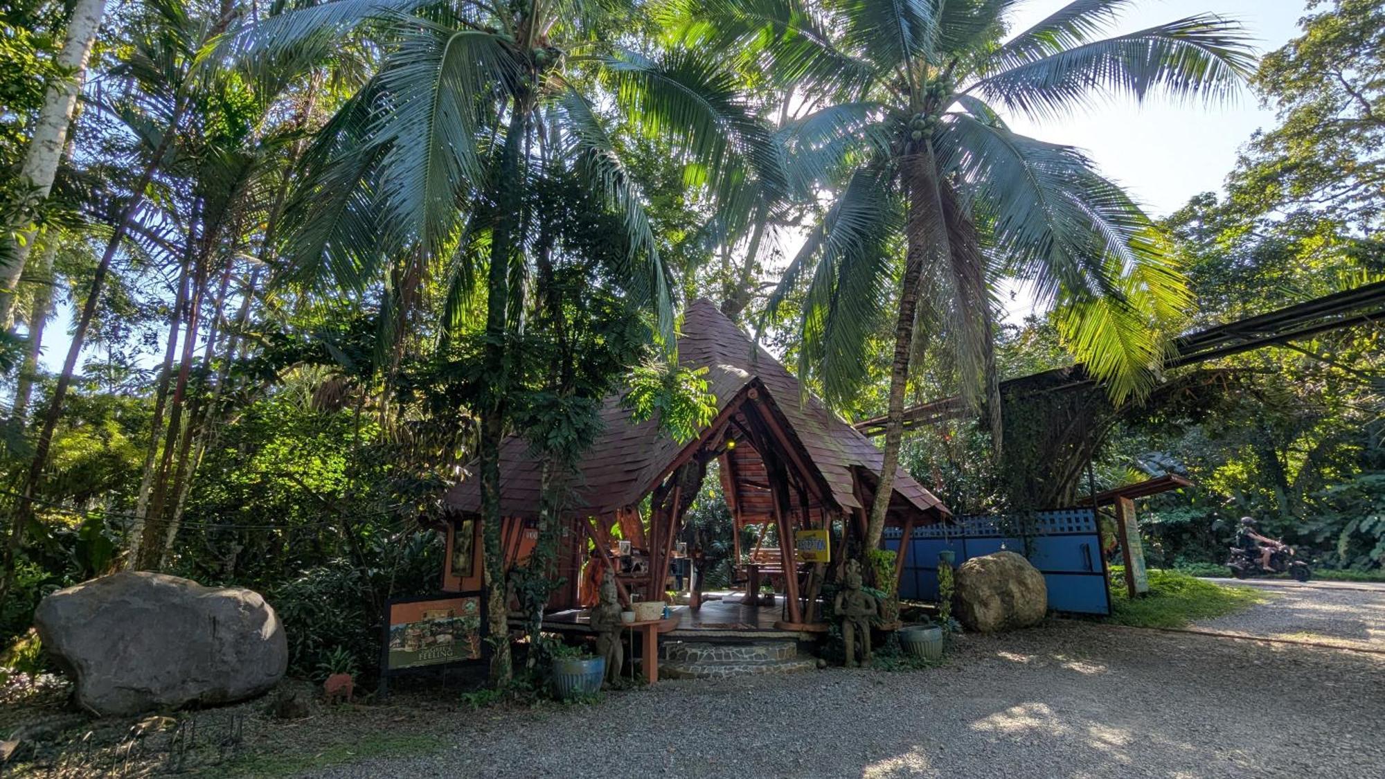 Tree House Beachfront Lodge Puerto Viejo de Talamanca Bagian luar foto