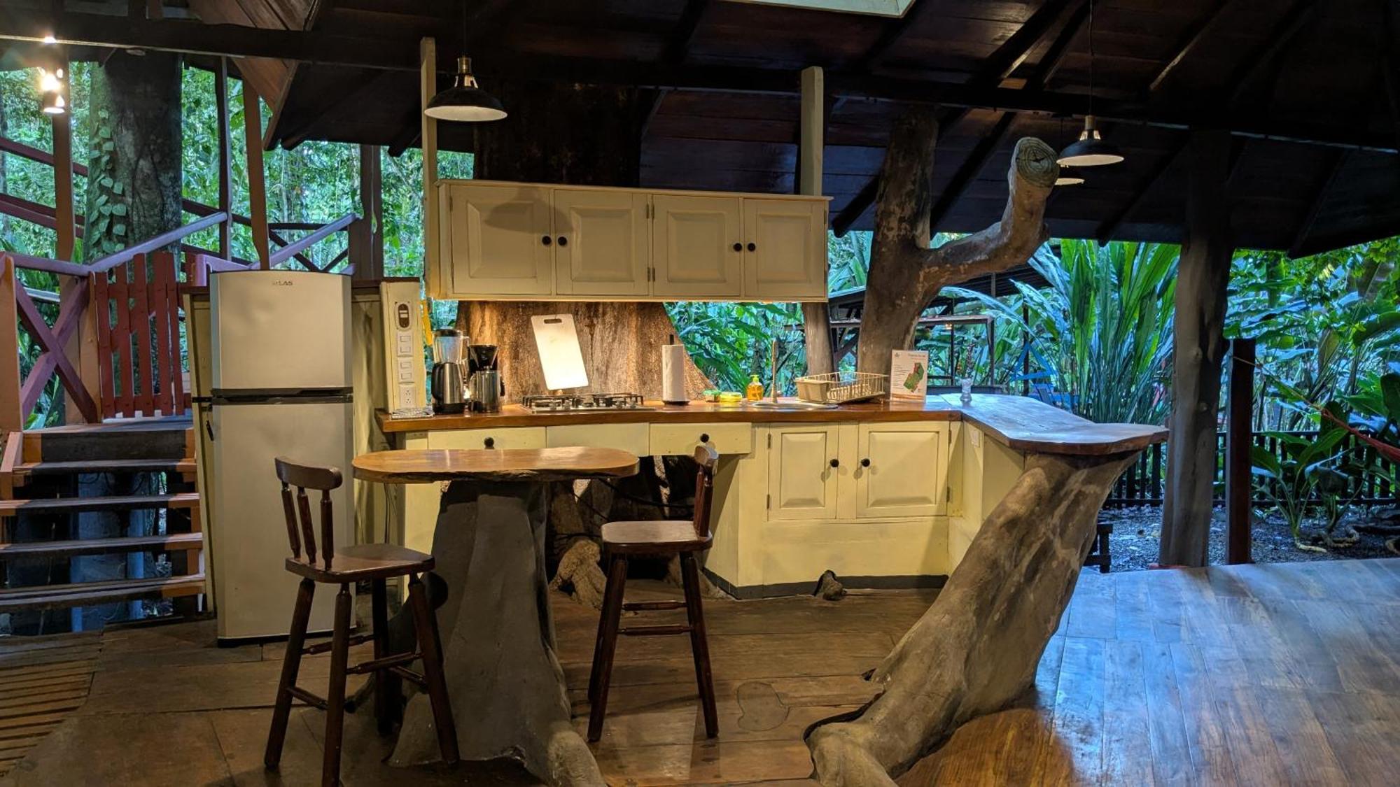 Tree House Beachfront Lodge Puerto Viejo de Talamanca Bagian luar foto