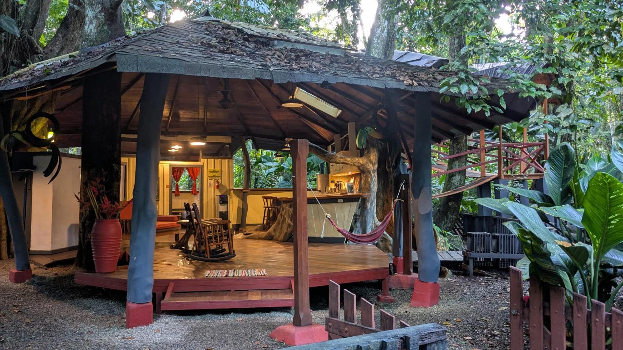 Tree House Beachfront Lodge Puerto Viejo de Talamanca Bagian luar foto