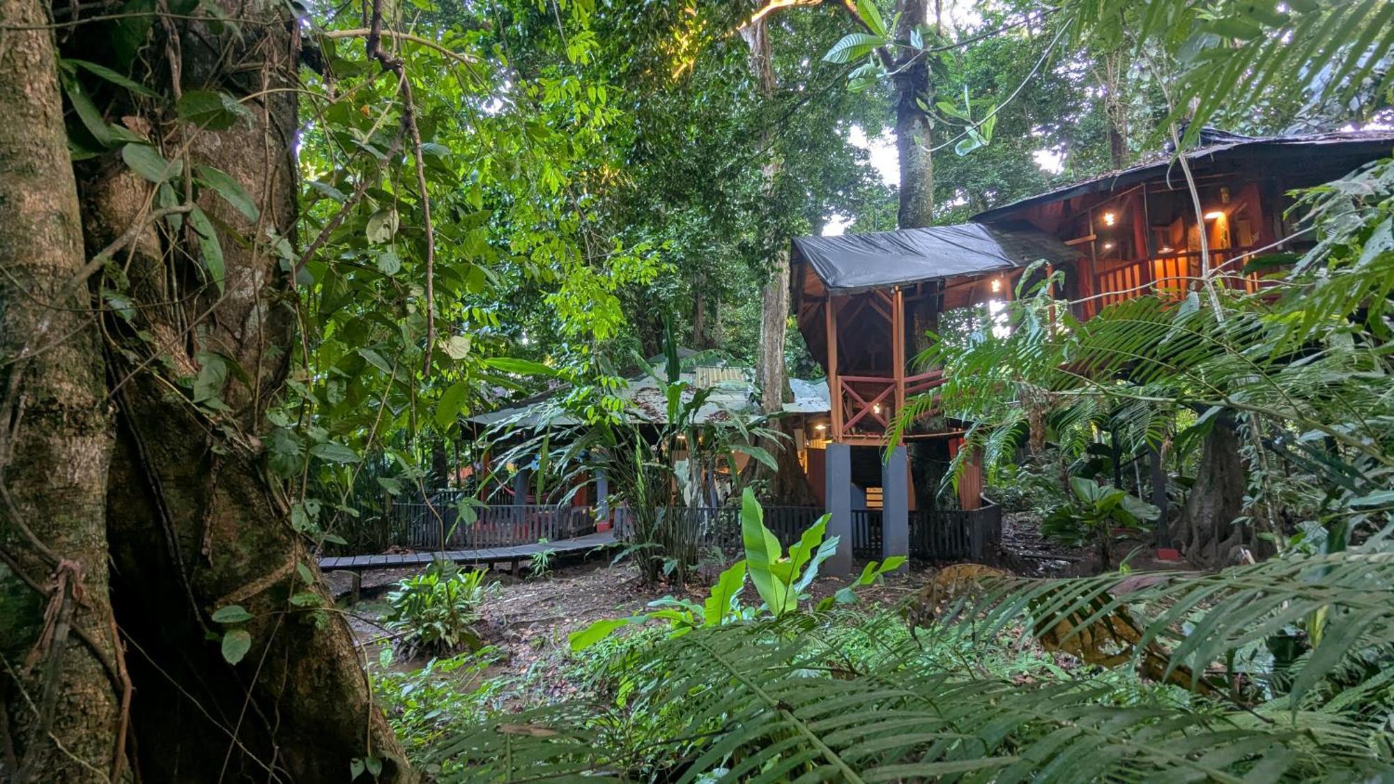 Tree House Beachfront Lodge Puerto Viejo de Talamanca Bagian luar foto