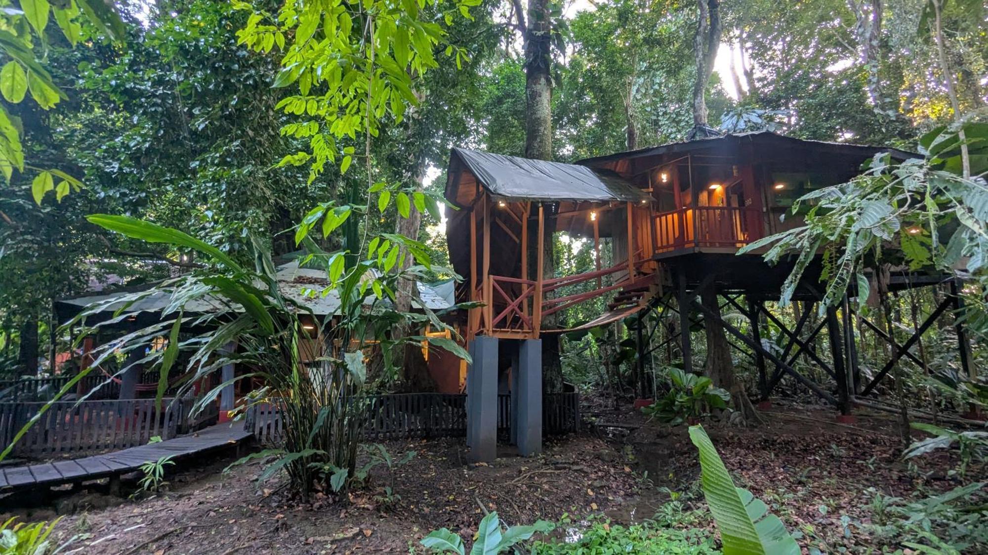 Tree House Beachfront Lodge Puerto Viejo de Talamanca Bagian luar foto