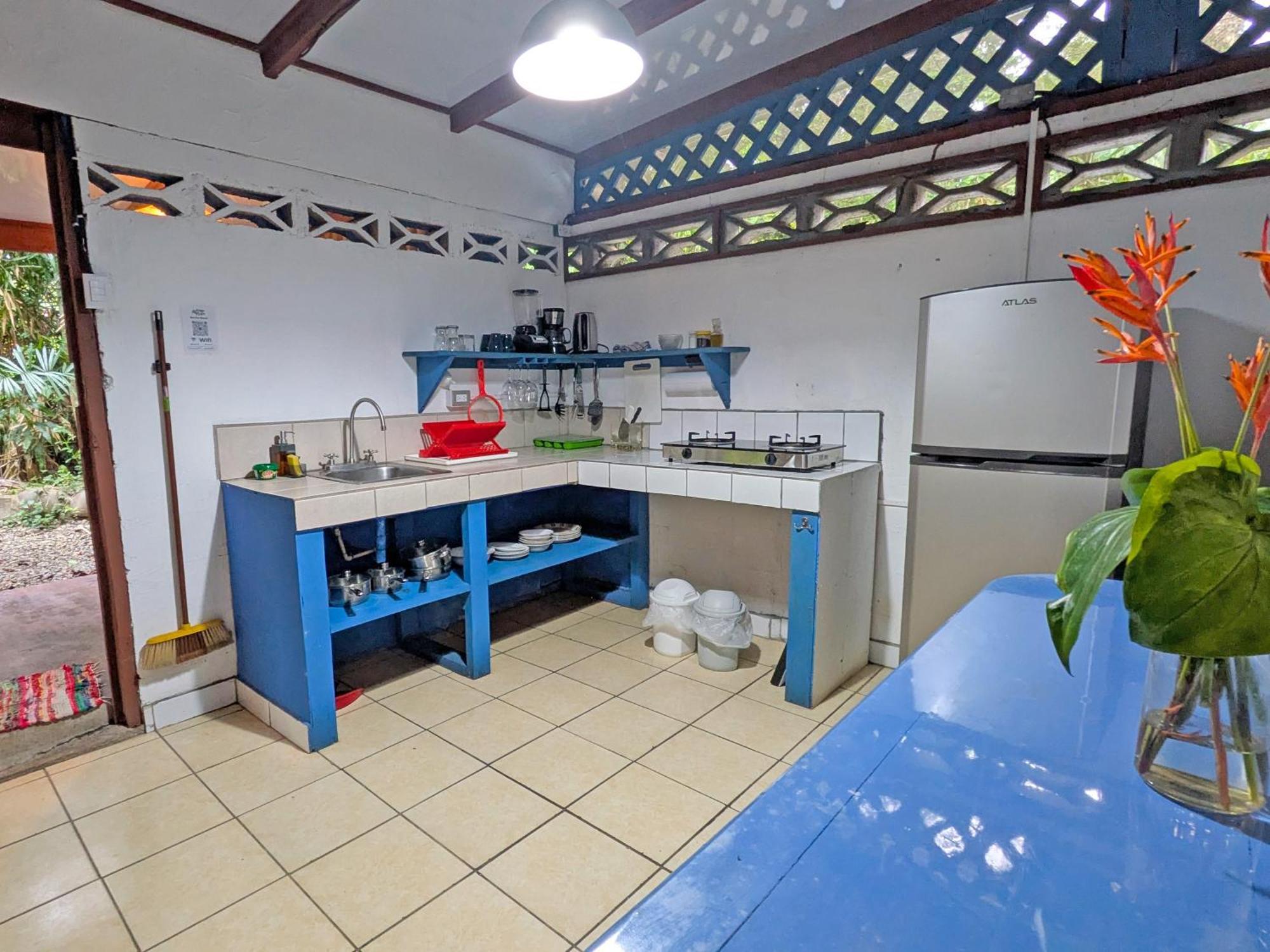 Tree House Beachfront Lodge Puerto Viejo de Talamanca Bagian luar foto